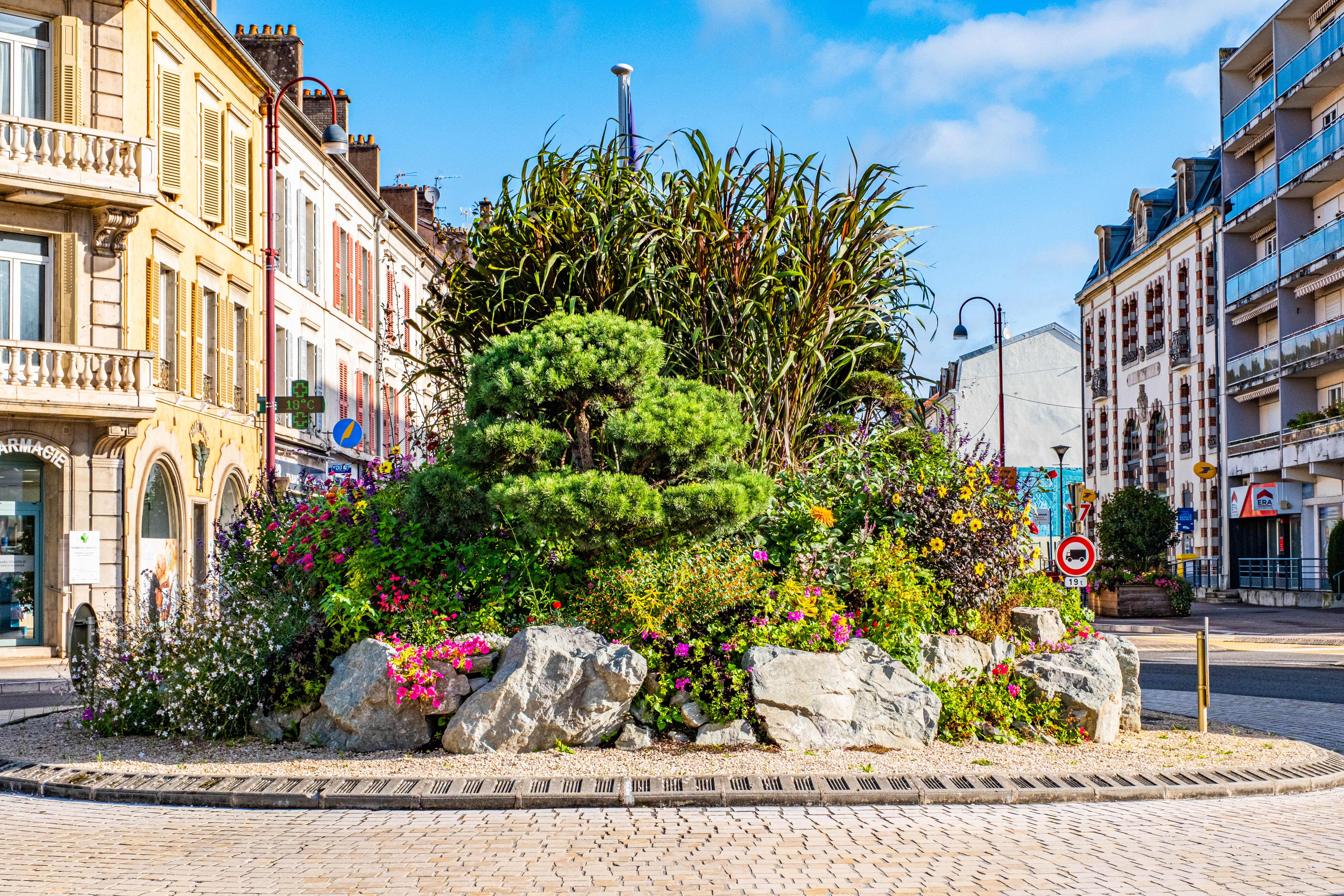 1955Vesoul--Ville-Fleurie--Tour-des-vegetalisations