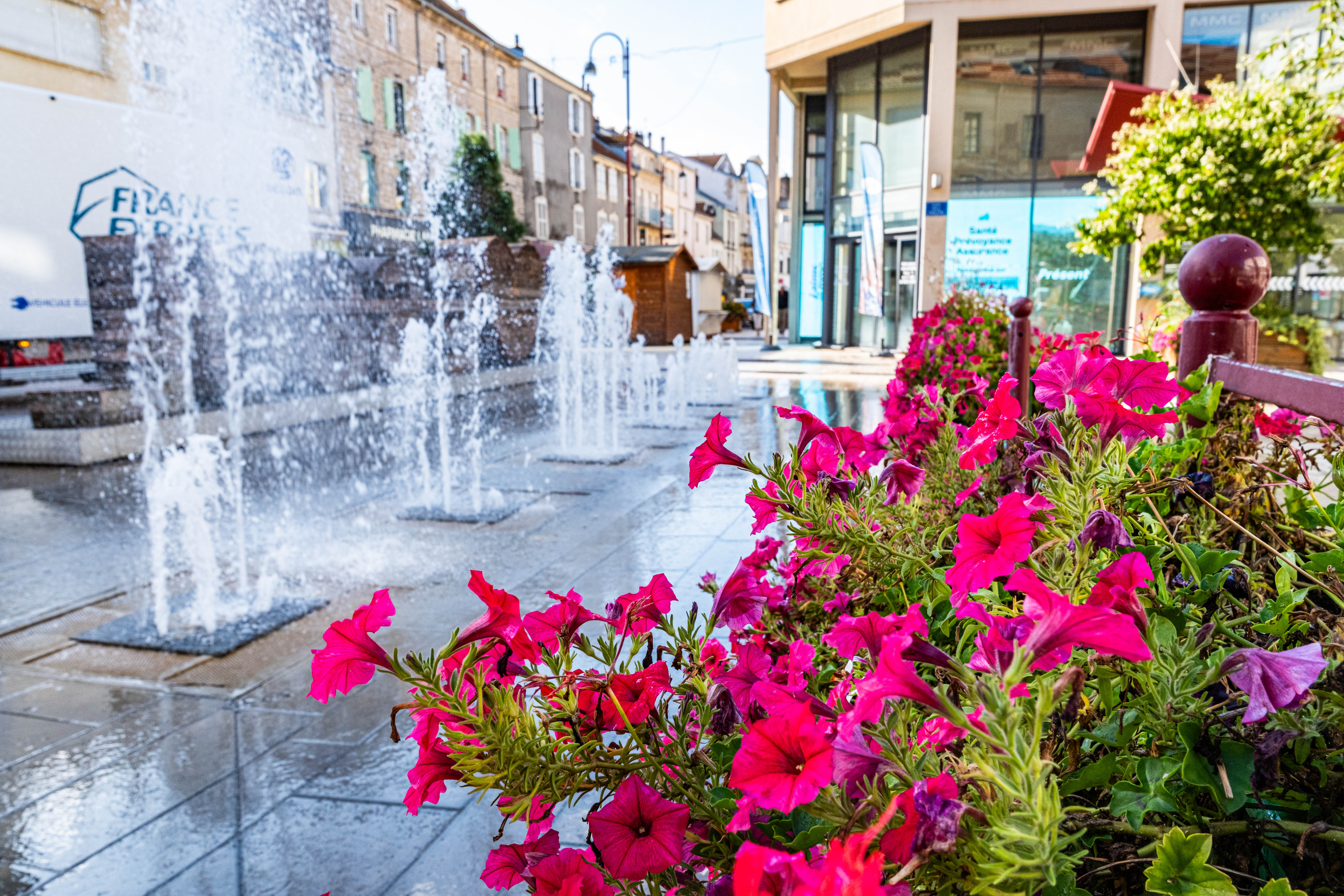 1971Vesoul--Ville-Fleurie--Tour-des-vegetalisations