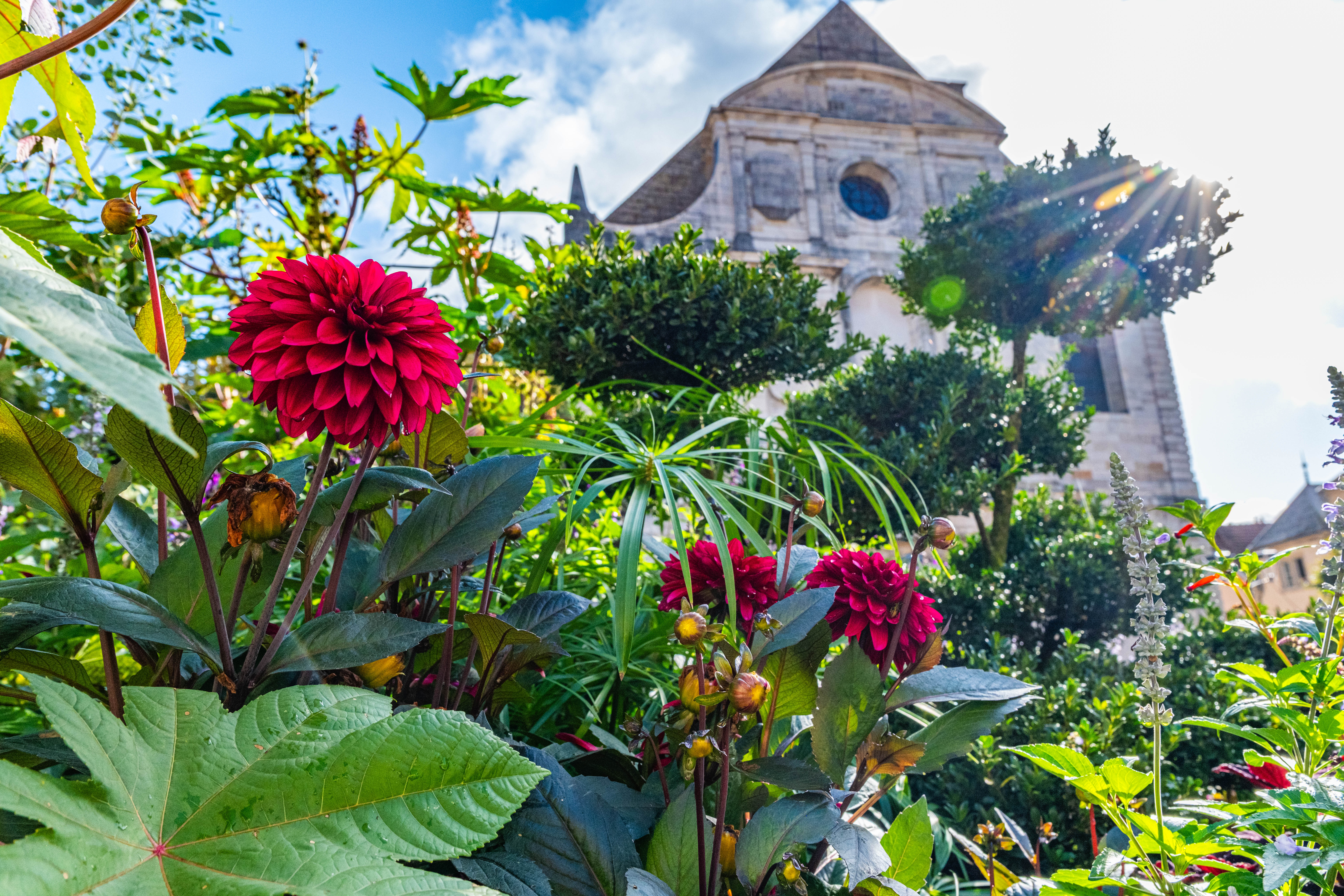 1991Vesoul--Ville-Fleurie--Tour-des-vegetalisations