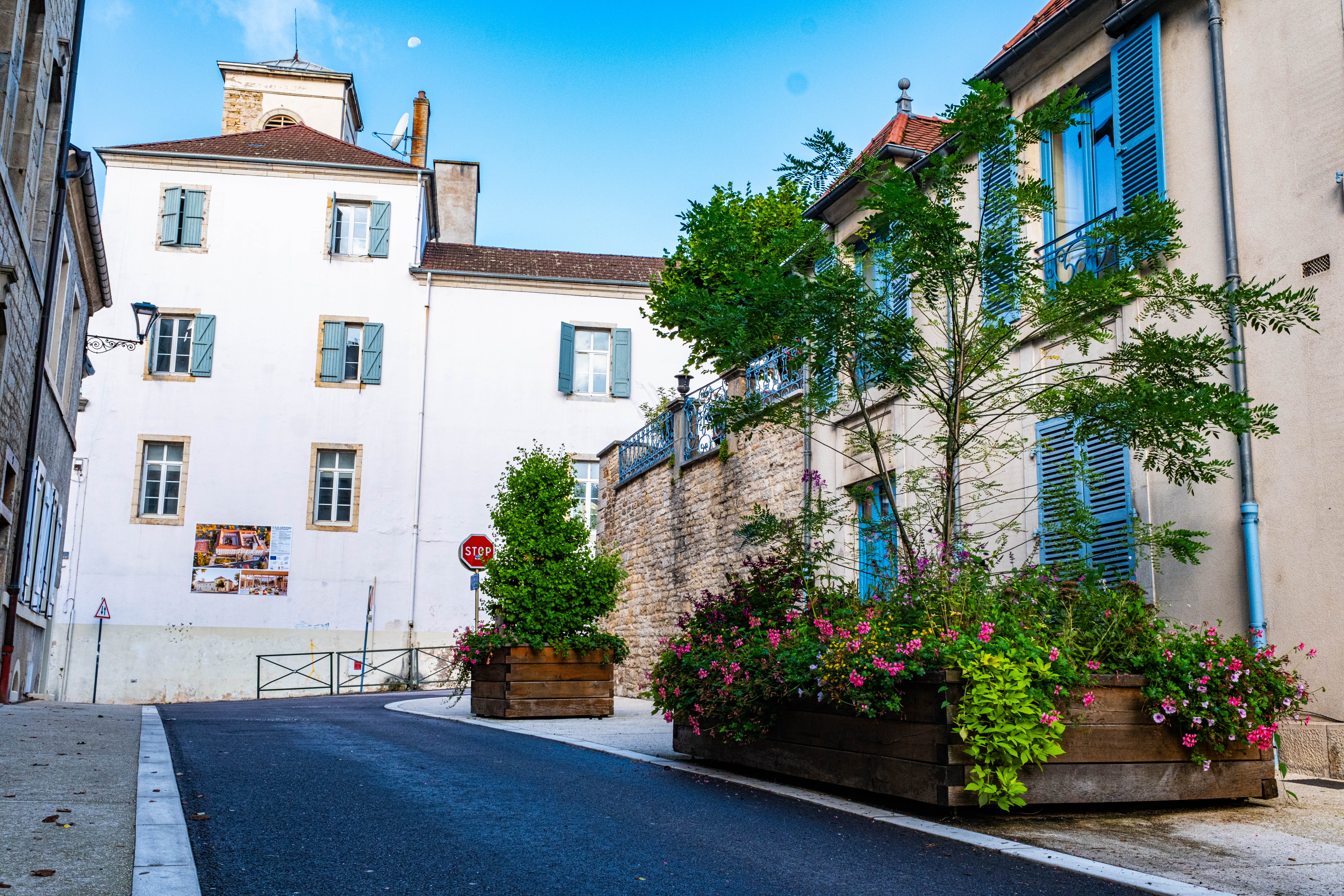 1996Vesoul--Ville-Fleurie--Tour-des-vegetalisations